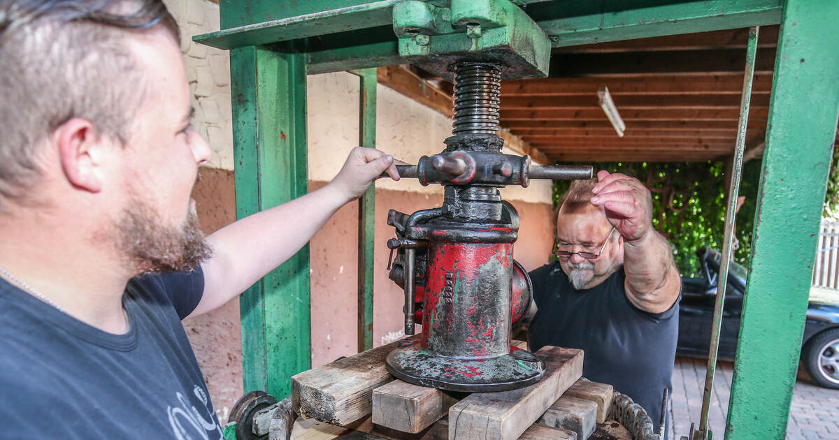Heimatstark: Johannisbeer-Wein – Handarbeit für den Hansel - Region ...
