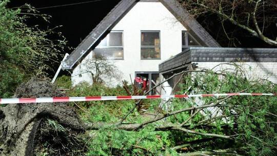 Umgestürzte Bäume liegen vor einem Haus in Roetgen. Foto: Ralf Roeger