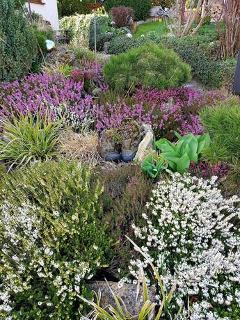 Pz News Sucht Ihre Schonsten Fruhlingsbilder Jetzt Gartencenter Gutschein Sichern Bildergalerien Pforzheimer Zeitung