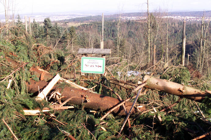 Vor 20 Jahren schlug Orkan Lothar mit aller Macht zu Bildergalerien