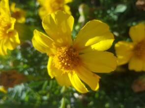 20190921_160951_resized_20200323_040406517