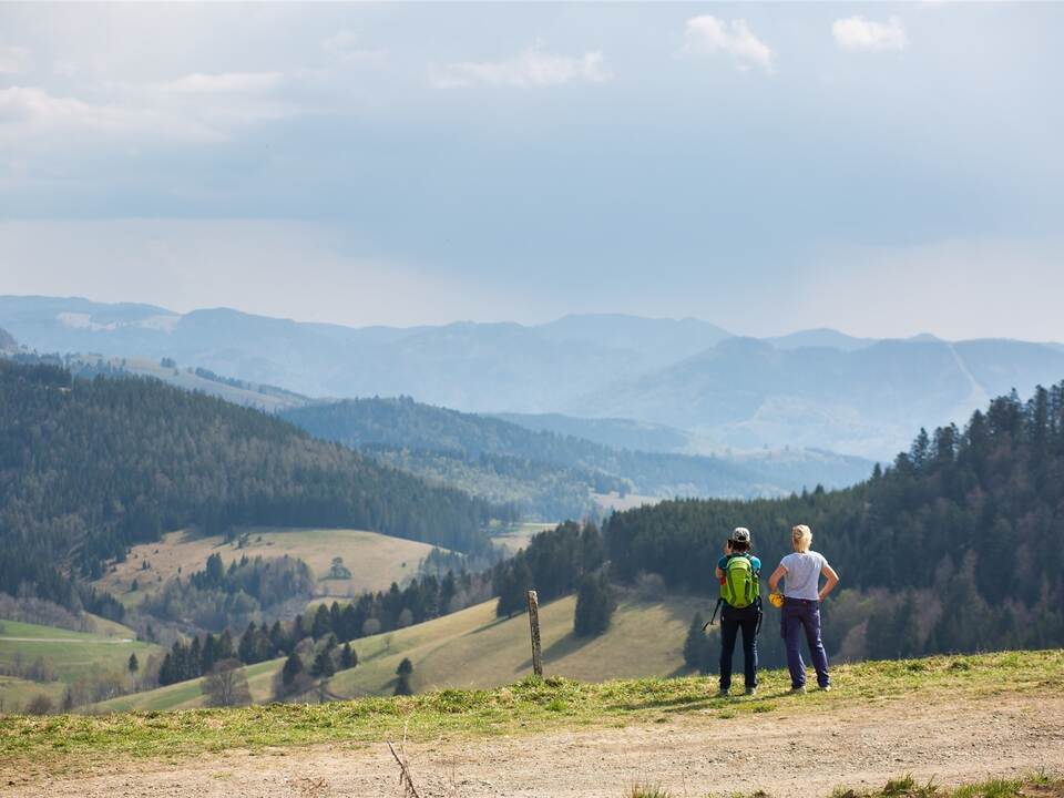 Auslandsreisen bleiben im Sommer unerfüllter Traum - Pforzheimer