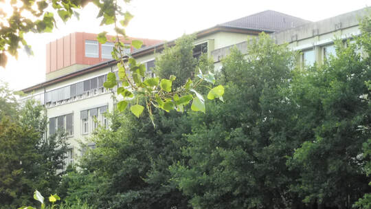 Enzufer Streit Fahrrad