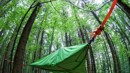 Baumzelte Dobel NSW Baumzelte Dobel NSW