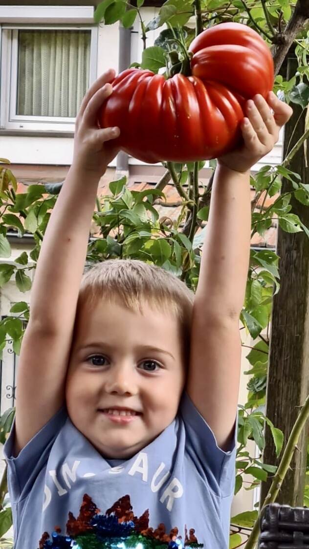 Riesentomate_Leserin_1