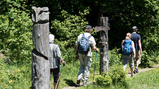 Für die beim Wandern im Südschwarzwald (Symbolbild) vermutlich verunglückte 26-Jährige gibt es laut Polizei keine Hoffnung mehr. Für die beim Wandern im Südschwarzwald (Symbolbild) vermutlich verunglückte 26-Jährige gibt es laut Polizei keine Hoffnung mehr.