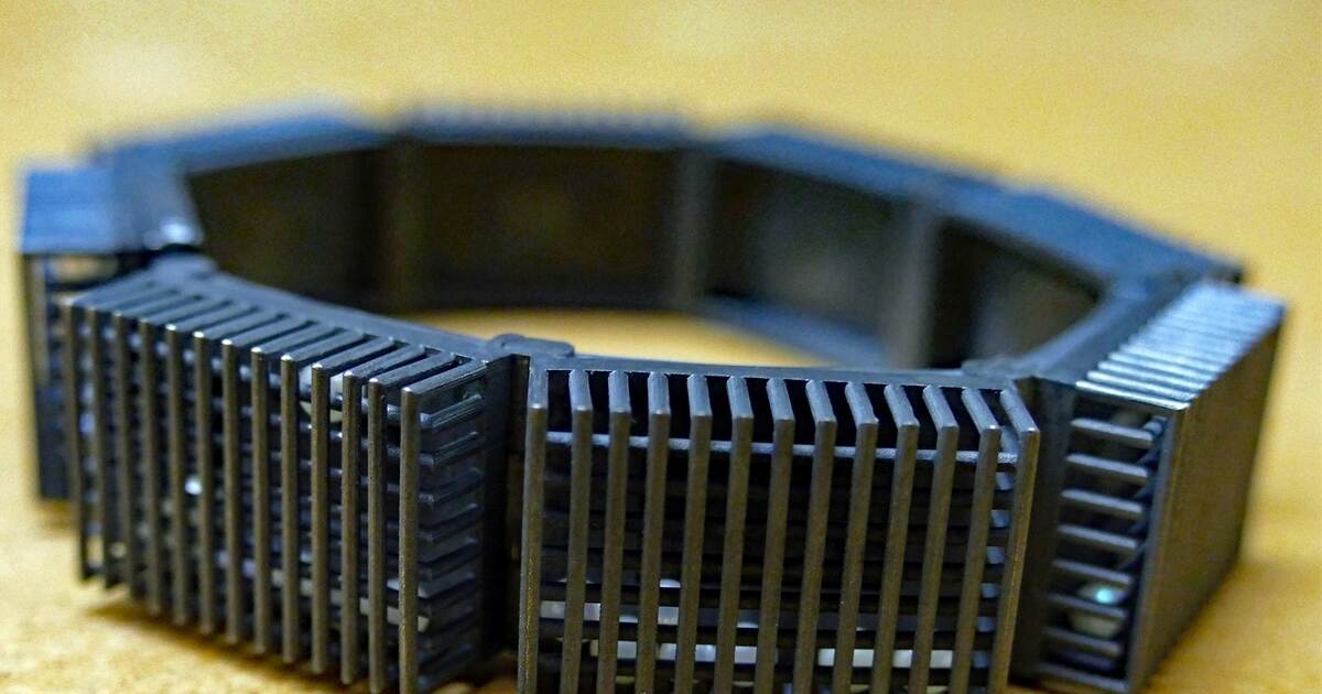 Erstaunliches aus der Tiefe des Meeres: Preisverleihung