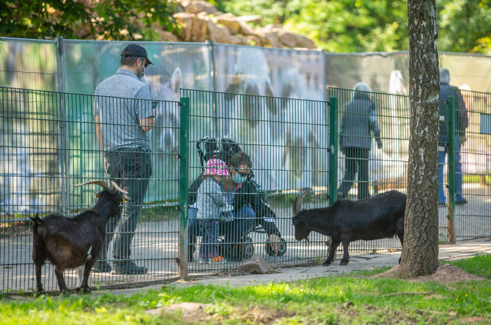 Wildpark Eröffnung Corona