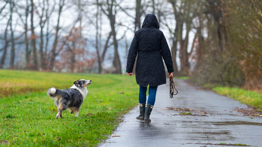 Regenwetter in Niedersachsen