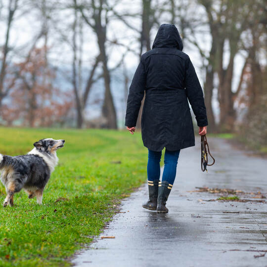 Regenwetter in Niedersachsen