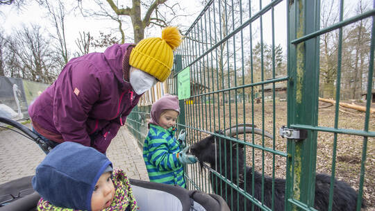 Wiedereröffnung Wildpark
