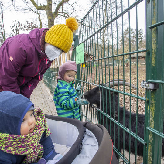 Wiedereröffnung Wildpark