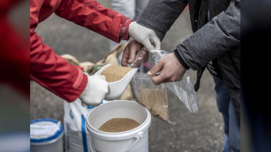 Foodsharing Eutinger Talweg