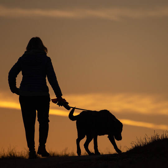 Neue Koalition nimmt Hundehalter an Leine