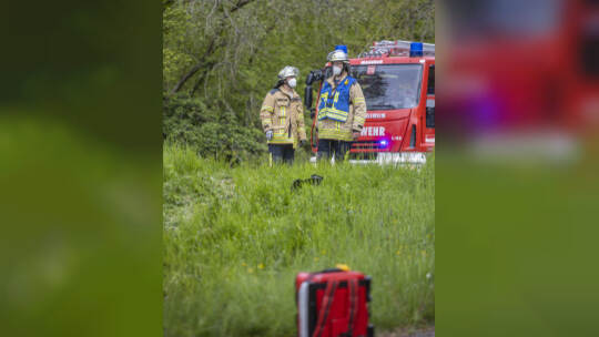 VU B294 Pforzheim Bauschlott