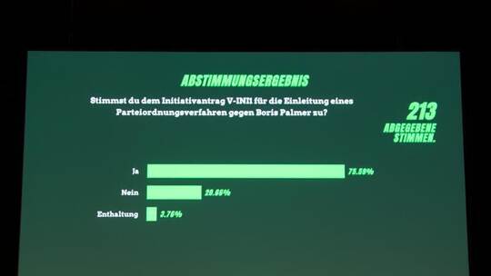 Grüne wollen Palmer rauswerfen