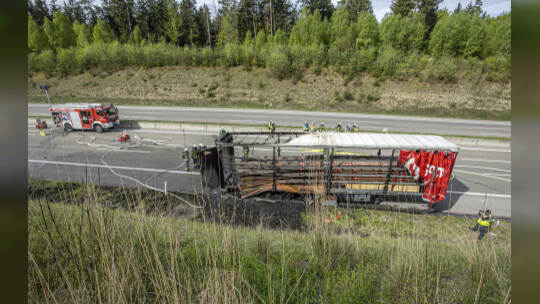 Brand LKW A8 Heimsheim PF Süd