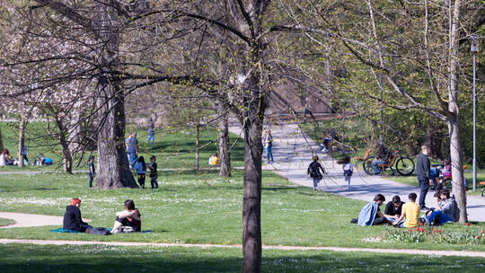 Frühling Sonne Stadtgarten