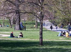 Frühling Sonne Stadtgarten