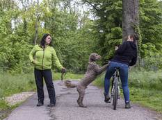 760_0900_127750_Hundfuehrerschein_Hundesportverein_14.jpg