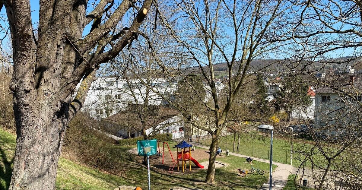 Kita-Neubau in Niefern-Vorort ist eine schwere Geburt - Region