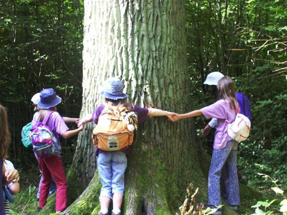 Neuer Kindergarten in Mühlacker legt Schwerpunkt auf Natur- und