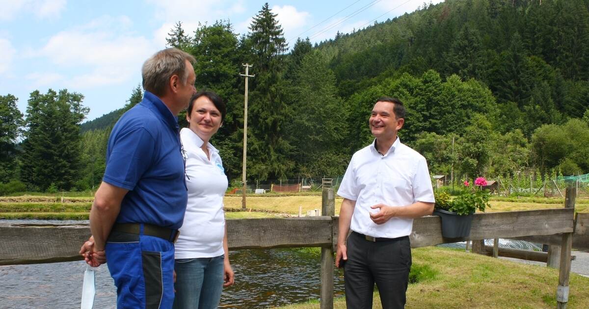 Bad Wildbad: Klaus Mack besucht Forellenzucht im Würzbachtal -...