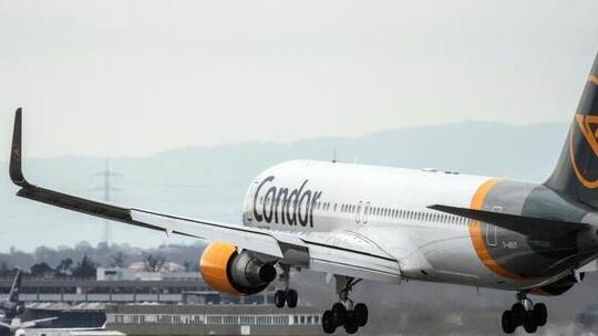 Condor