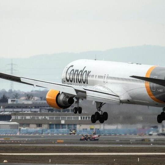 Condor