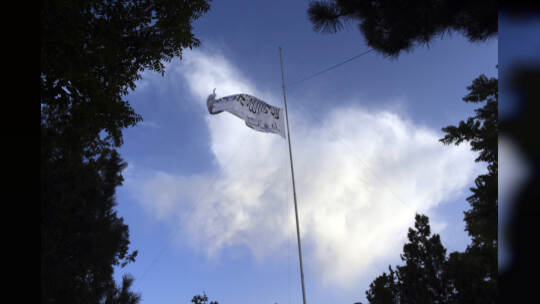 Konflikt in Afghanistan