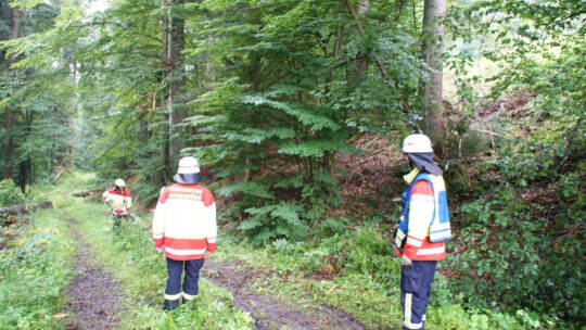 Neuenbuerg: Pkw kommt auf der Landesstrasse von der Fahrbahn ueberschlaegt sich und landet auf dem Dach - Feuerwehr im Einsatz