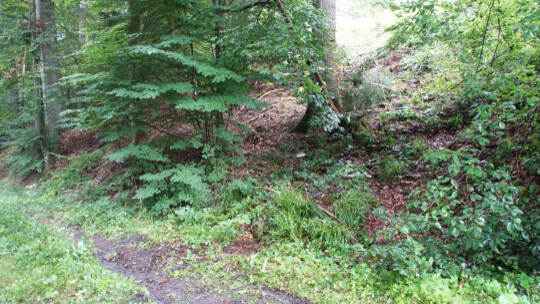 Neuenbuerg: Pkw kommt auf der Landesstrasse von der Fahrbahn ueberschlaegt sich und landet auf dem Dach - Feuerwehr im Einsatz