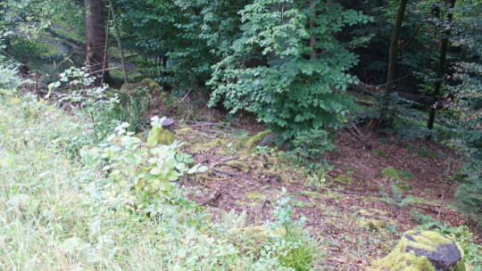 Neuenbuerg: Pkw kommt auf der Landesstrasse von der Fahrbahn ueberschlaegt sich und landet auf dem Dach - Feuerwehr im Einsatz