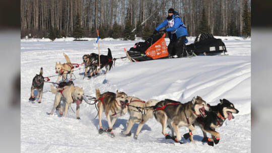 KINA - Mit dem Hundeschlitten unterwegs