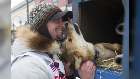 Iditarod-Hundeschlittenrennen