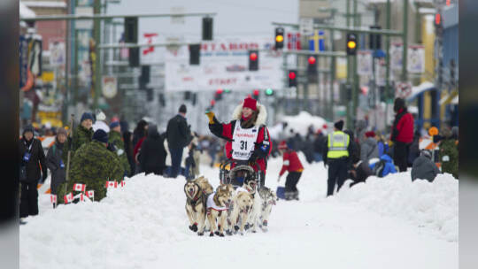 Iditarod-Hundeschlittenrennen