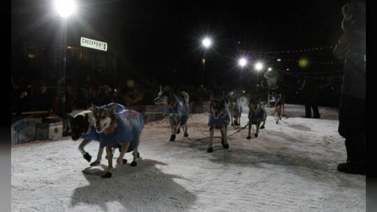 Norweger gewinnt Iditarod-Hundeschlittenrennen in Alaska