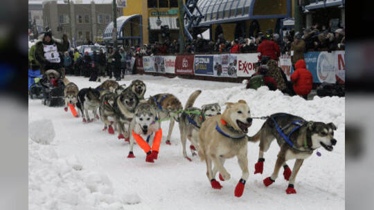 KINA - Hunderte Kilometer durch den Schnee