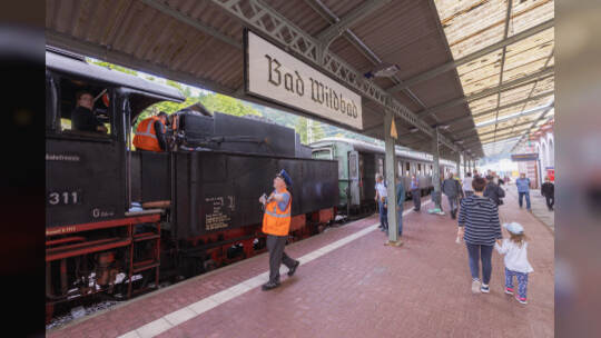 Historische Dampfzüge