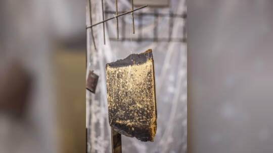 EMMA Ausstellung Immaterial