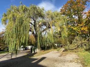Sturmtief „Ignatz“ sorgt für Chaos in der Region