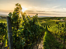 AdobeStock_300747064