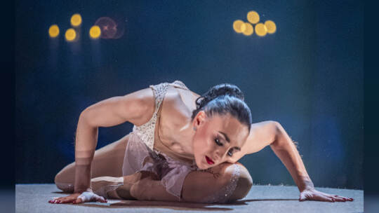 Calypso Dinner Show Gasometer