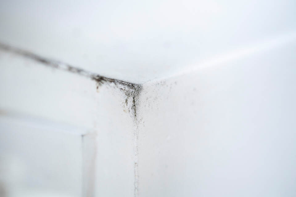 Schwarze Flecken An Der Wand