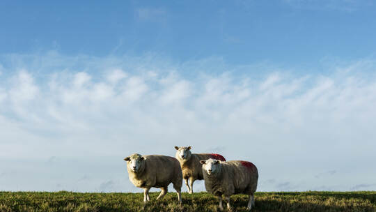 Sonne und blauer Himmel an der Küste