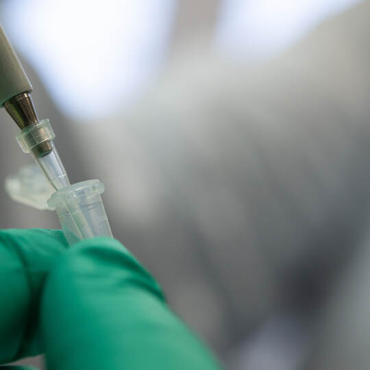 Coronavirus - Mutationen