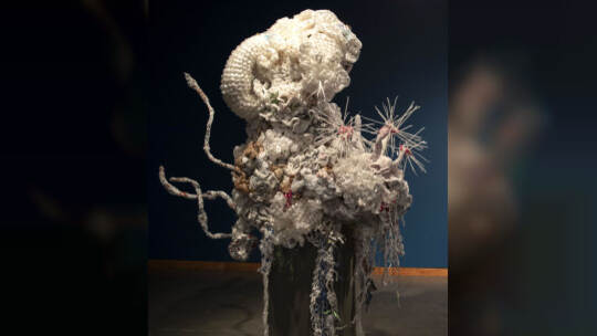 Crochet Coral Reef