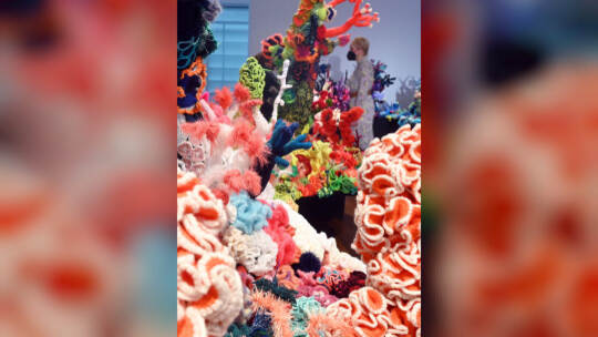KINA - Bunte Korallen im Museum