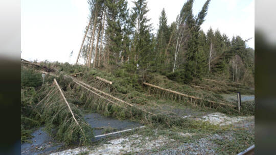 Sturmtief Zeynep - Oberharz