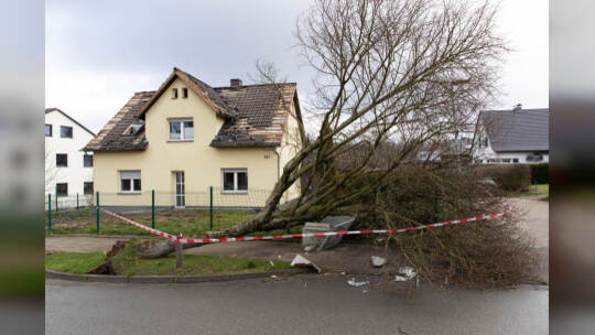 Sturmtief Zeynep - Bielefeld